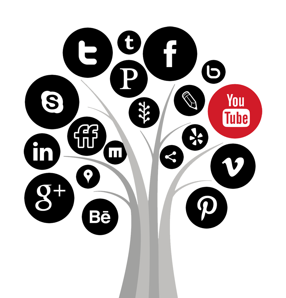 Social Media Brand Management Services